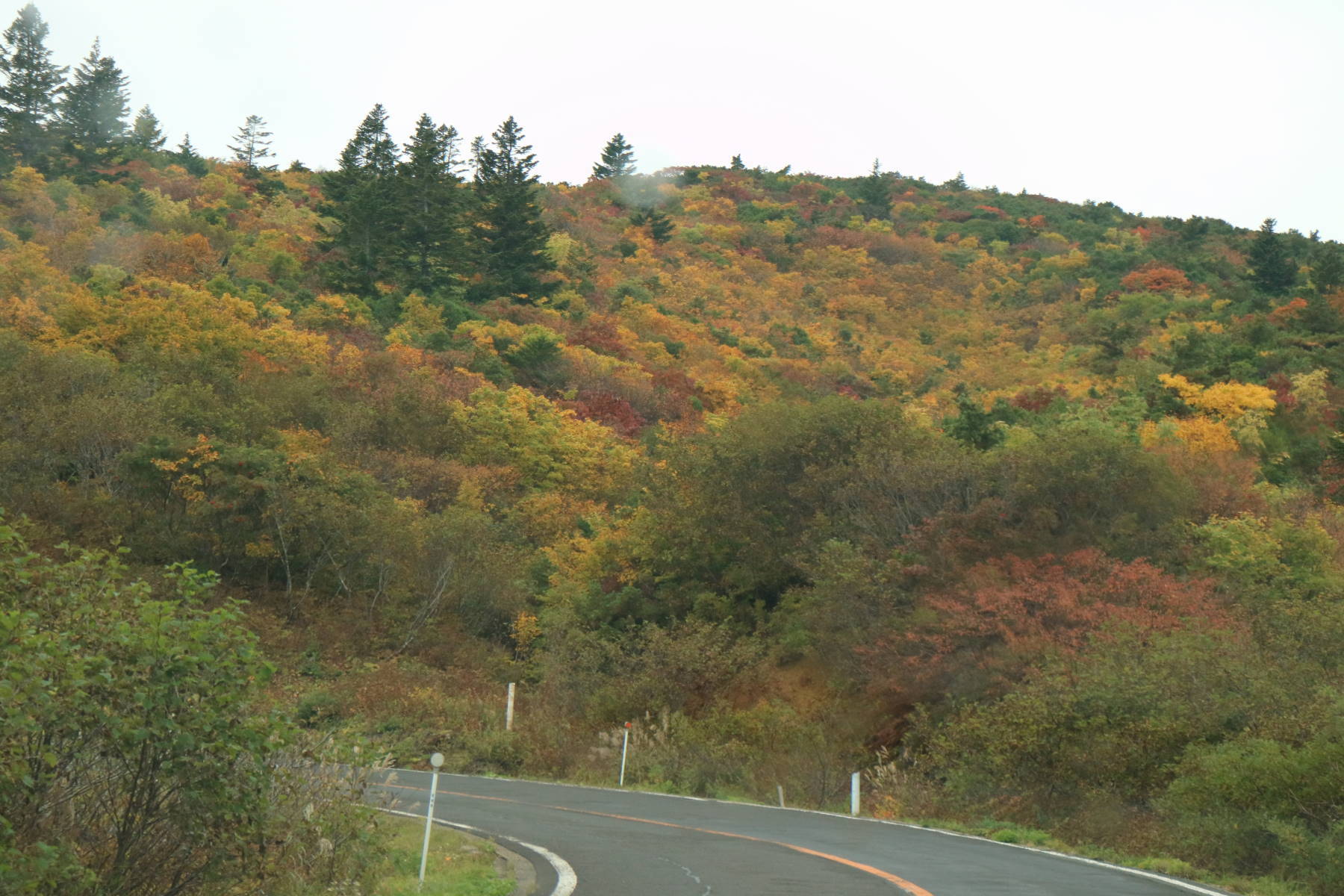 f0075595_20245911.jpg