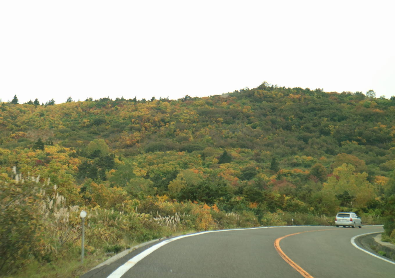 f0075595_20251794.jpg