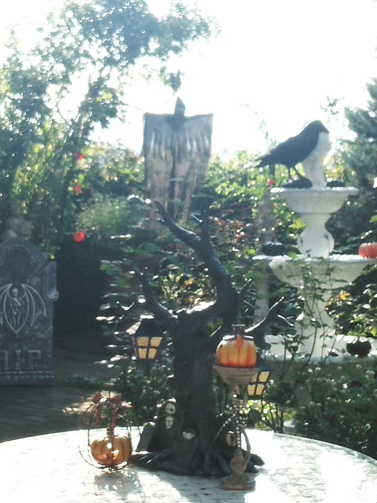 見てはいけない････････_b0331802_18410818.jpg
