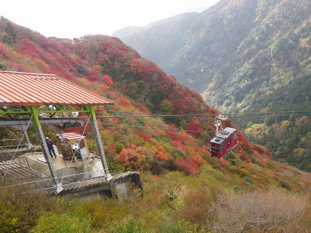 18-10：雲仙岳［妙見尾根］（紅葉）　　　　　_f0187402_21504042.jpg