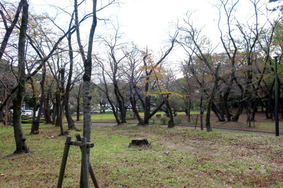 f0195002_17014922.jpg