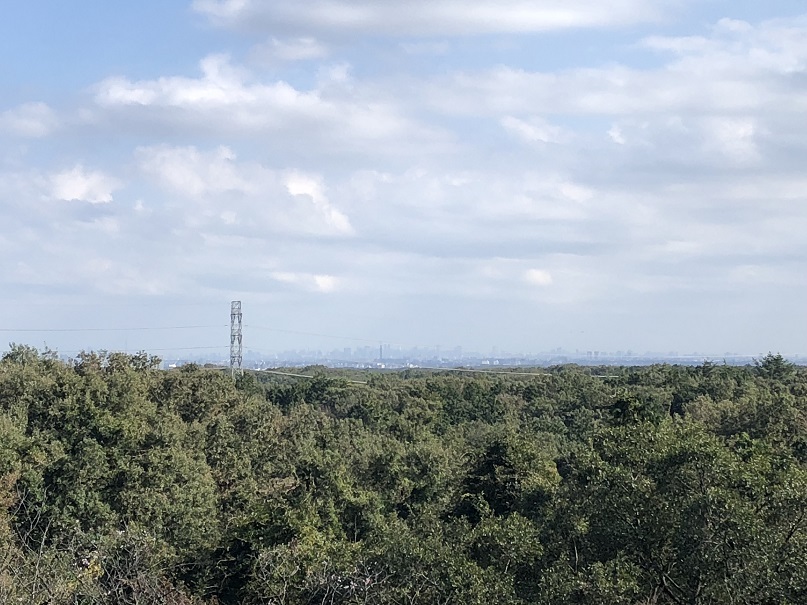 e0118908_16292728.jpg