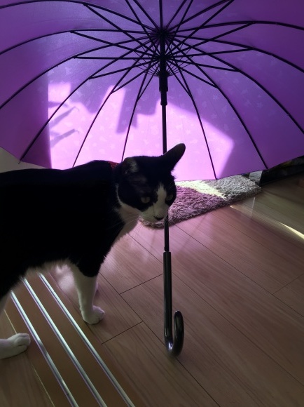 c0109109_18103600.jpeg