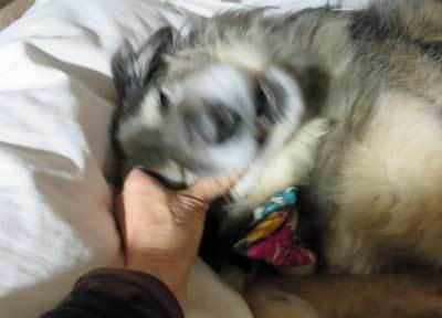 e0001110_10160771.jpg