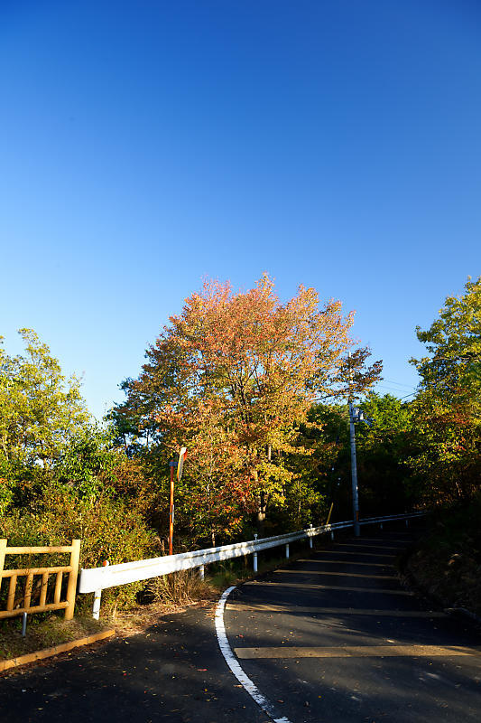 雲海@南丹市紅葉峠_f0032011_20245135.jpg