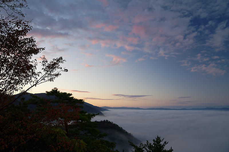 雲海@南丹市紅葉峠_f0032011_20245198.jpg
