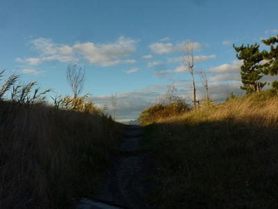 d0113613_13263145.jpg