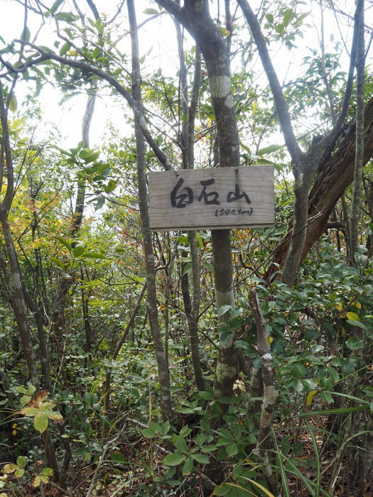 白石山登山周回_c0116915_00500739.jpg