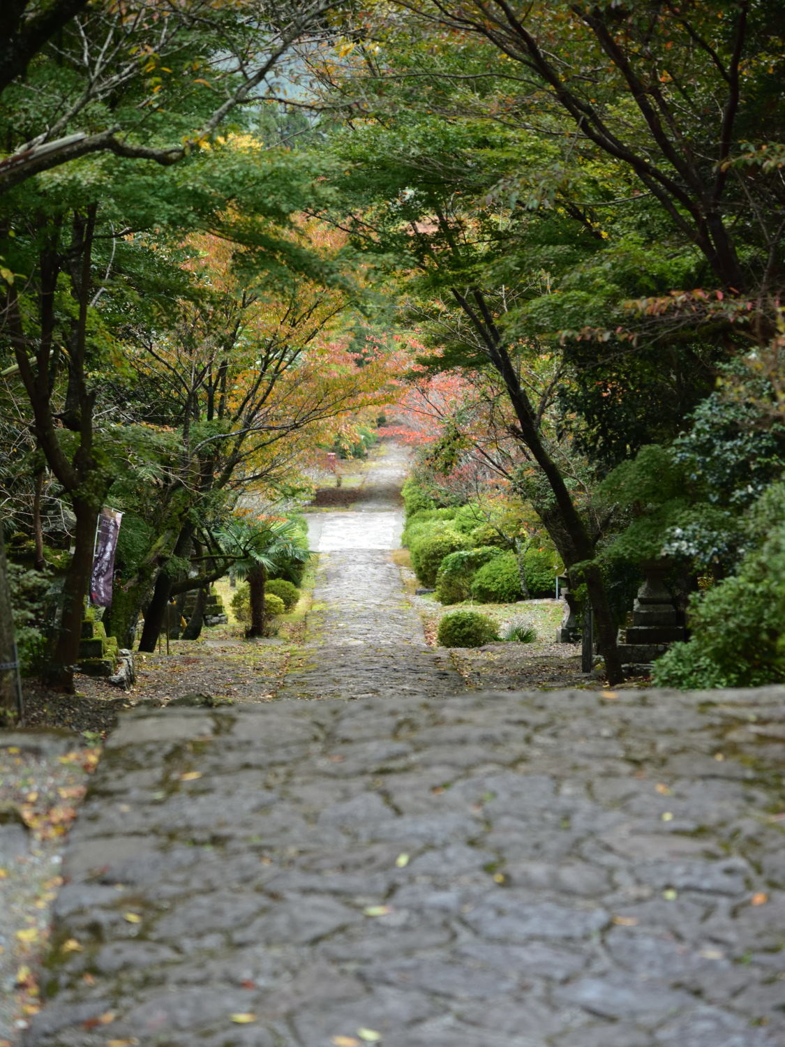 英彦山　紅葉詣で！_d0355116_18170437.jpg