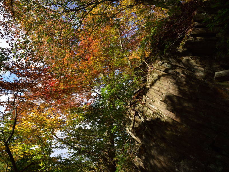 英彦山　紅葉詣で！_d0355116_18270500.jpg