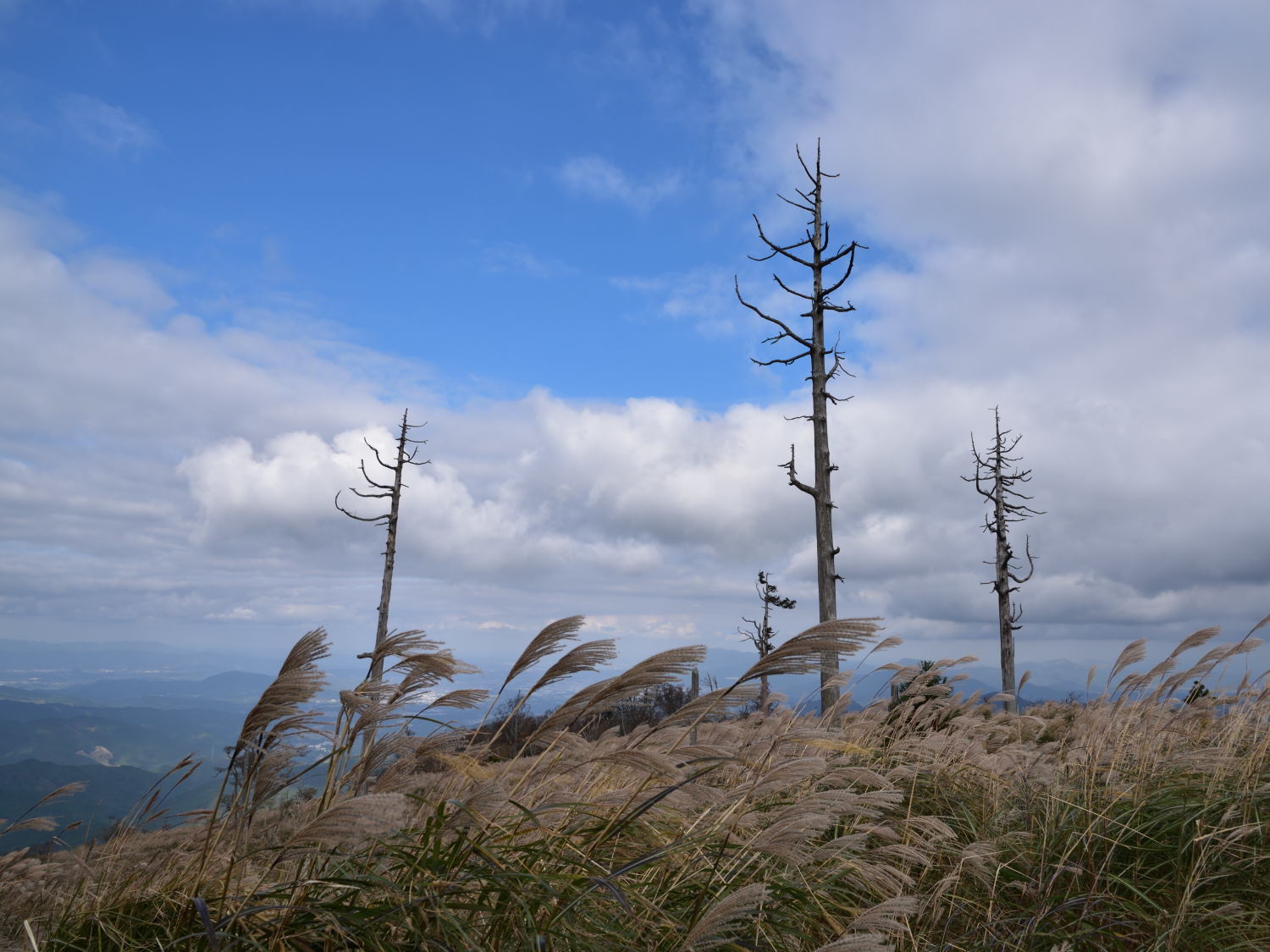 英彦山　紅葉詣で！_d0355116_18344066.jpg