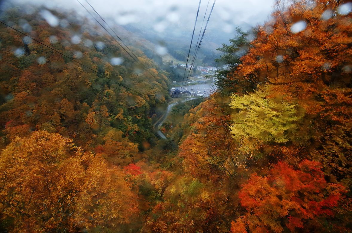 新潟の秋は小雨模様だった(^^;　苗場ドラゴンドラから見る紅葉は如何に？・・・日帰りバスツアー一人旅_a0031821_14454188.jpg