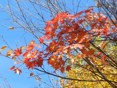 a0363221_19155570.jpg