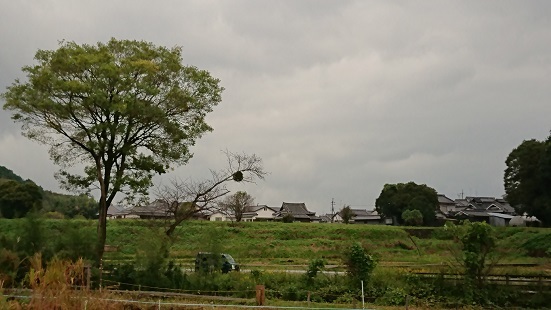 f0000521_04281680.jpg