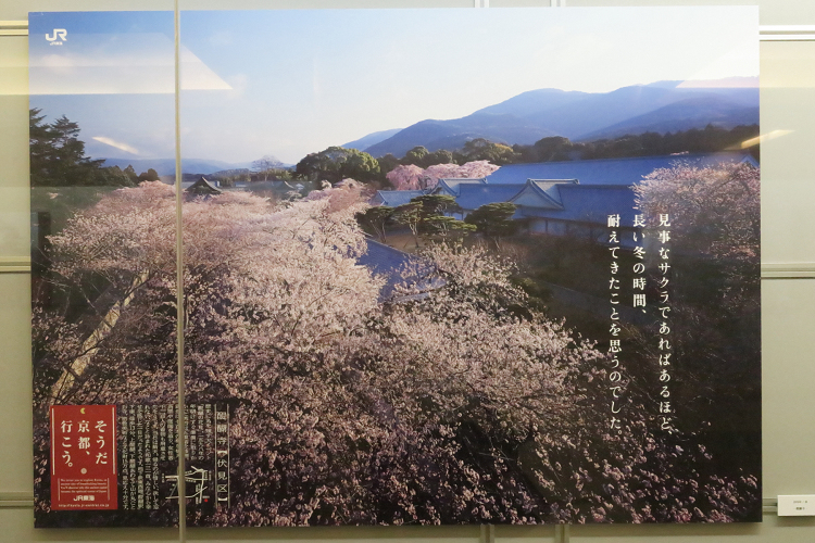 25th そうだ 京都 行こう ｍｅｍｏｒｙ ｏｆ ｋｙｏｔｏｌｉｆｅ