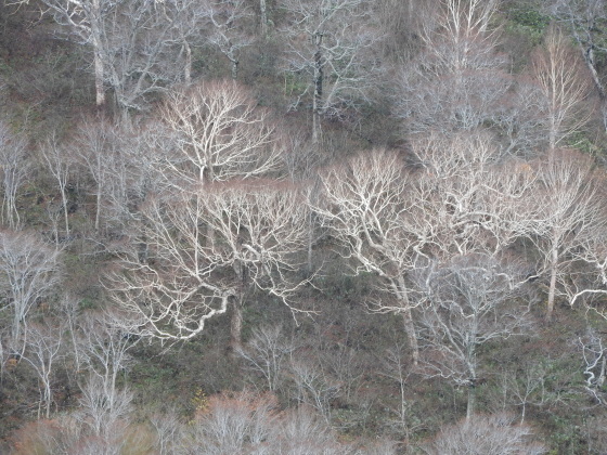f0118332_21175509.jpg