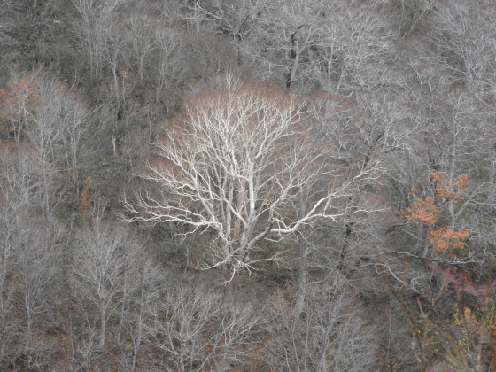 f0118332_21215044.jpg