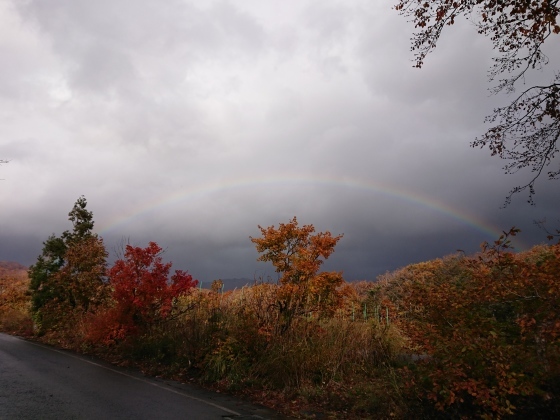 f0118332_21221420.jpg