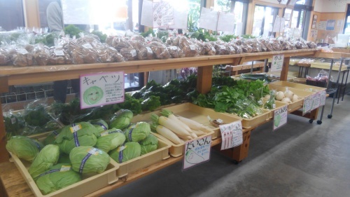 f0227432_10552034.jpg