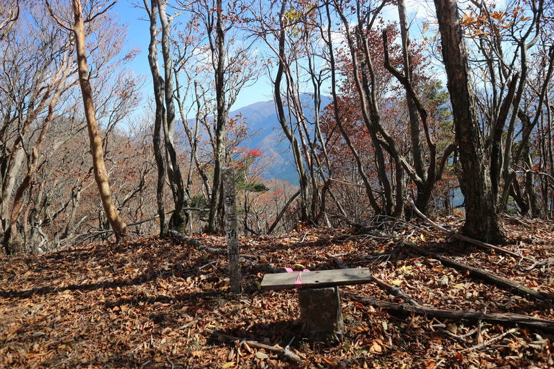 e0272335_11193651.jpg