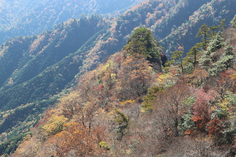 大障子岩＆池ノ原・宮原分岐点縦走路の紅葉（2018/10/27)_e0272335_11565232.jpg