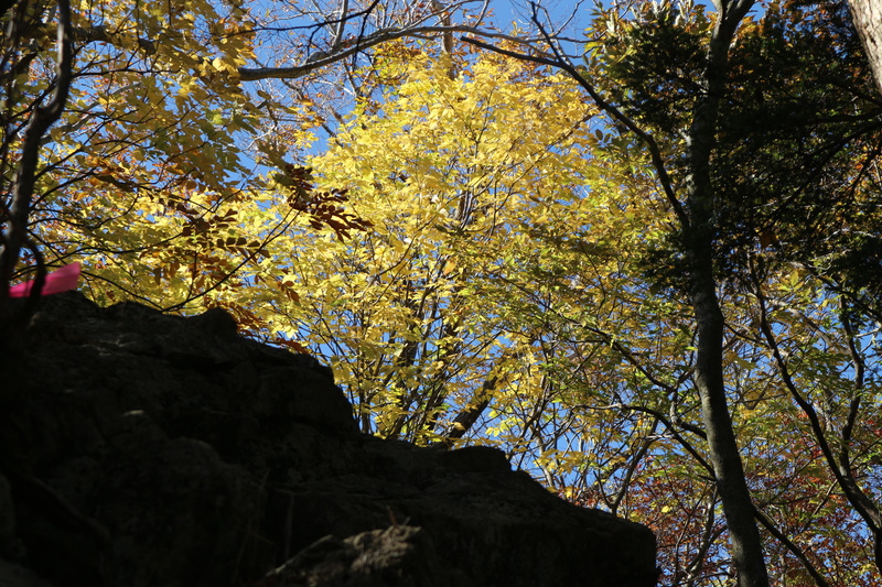 e0272335_12105030.jpg