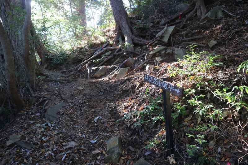 e0272335_1217724.jpg