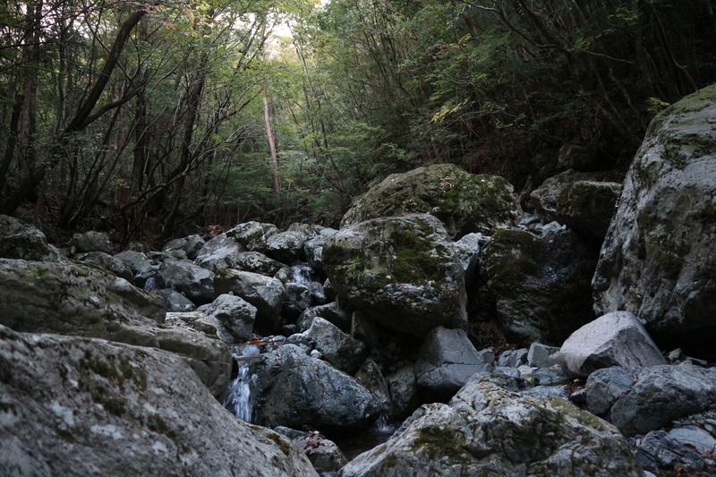 e0272335_7362090.jpg