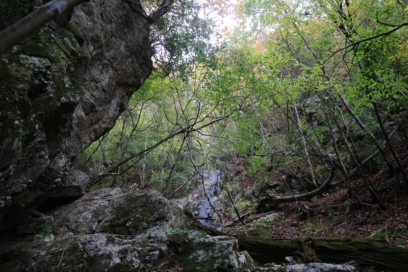 e0272335_7443734.jpg