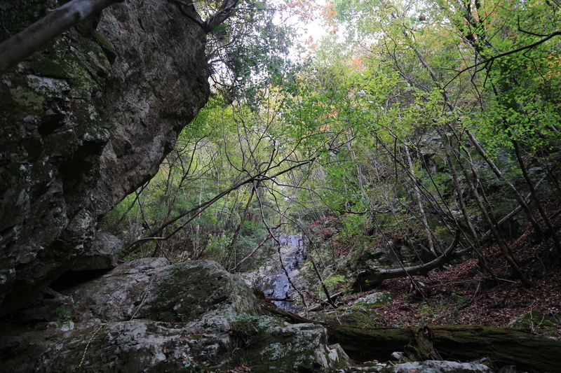 大障子岩＆池ノ原・宮原分岐点縦走路の紅葉（2018/10/27)_e0272335_7443734.jpg