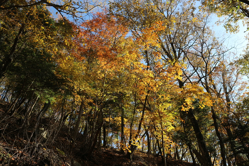 大障子岩＆池ノ原・宮原分岐点縦走路の紅葉（2018/10/27)_e0272335_758373.jpg