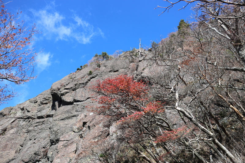 大障子岩＆池ノ原・宮原分岐点縦走路の紅葉（2018/10/27)_e0272335_8211881.jpg