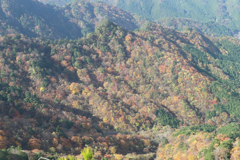 e0272335_828742.jpg
