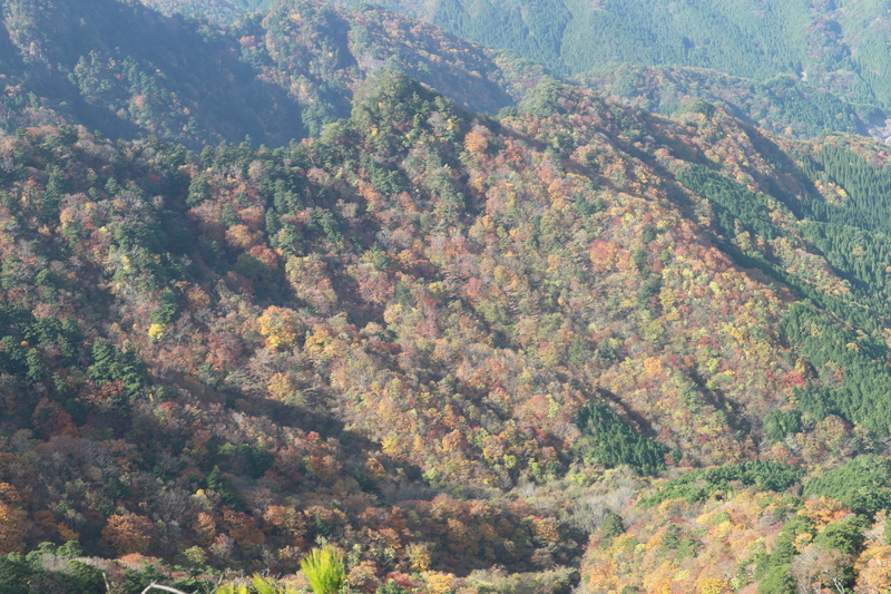 大障子岩＆池ノ原・宮原分岐点縦走路の紅葉（2018/10/27)_e0272335_828742.jpg