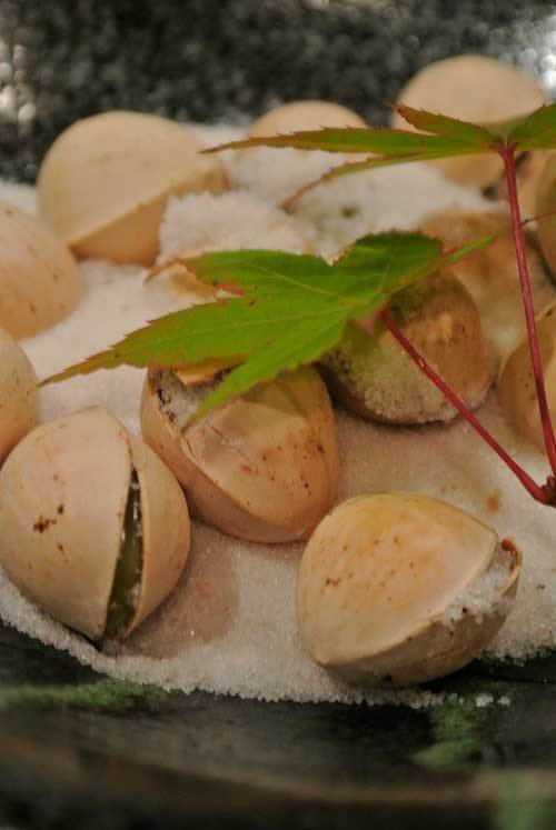 【(山梨グルメ)甲府市 「こい季」・・・甲府北口にオープンした旬の食材を生かした和食料理のお店!!】_a0005436_13010052.jpg