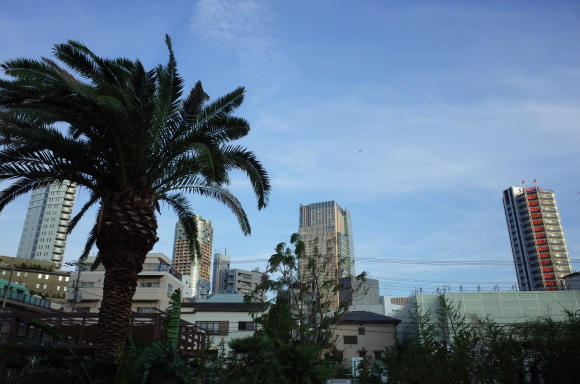 a0287336_00005385.jpg