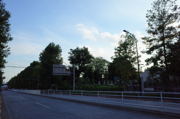 a0287336_21154184.jpg