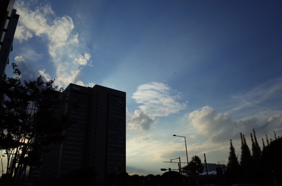 a0287336_21182514.jpg