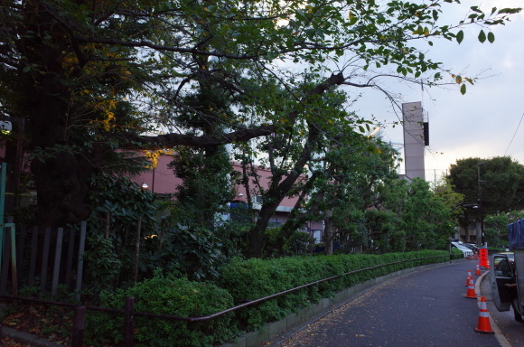 a0287336_21185835.jpg