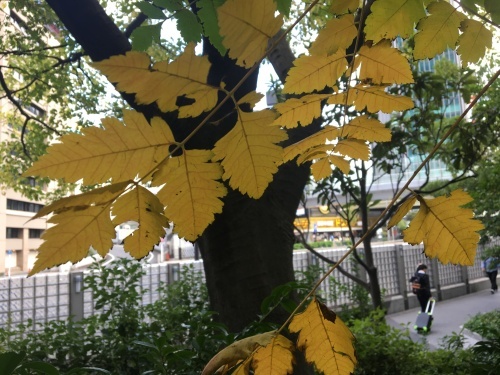b0330040_16245540.jpeg