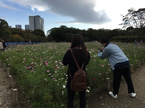 b0330040_16510711.jpeg