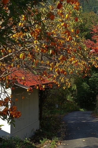 b0325549_23205969.jpg