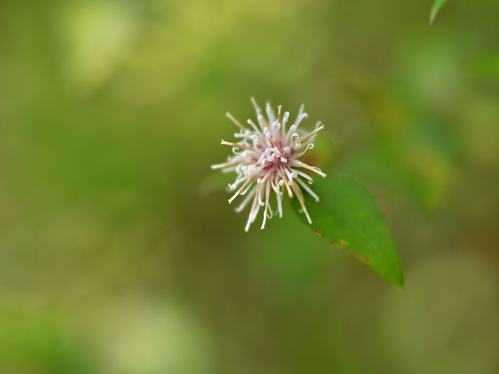 b0370155_14461524.jpg