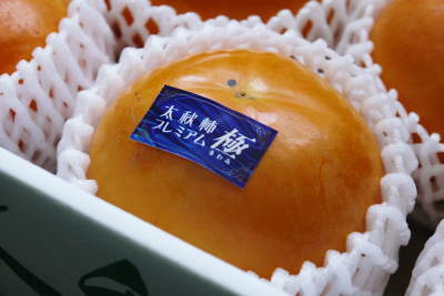 匠が育てた熊本県産『太秋柿プレミアム』は令和6年度もの完売御礼！本日の出荷を持ちまして発送も完了です_a0254656_20173908.jpg