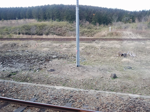 a0057057_21125170.png