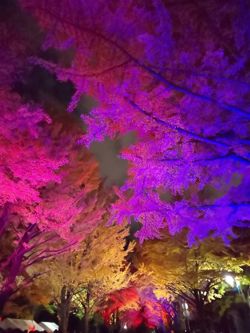e0047657_21103233.jpg