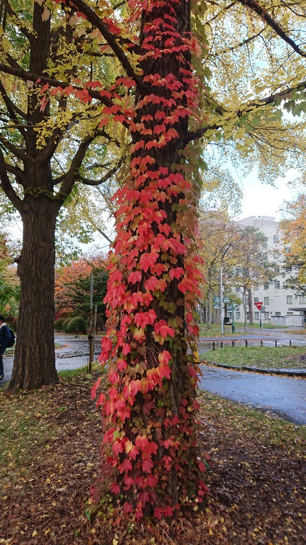 c0328559_20540360.jpg