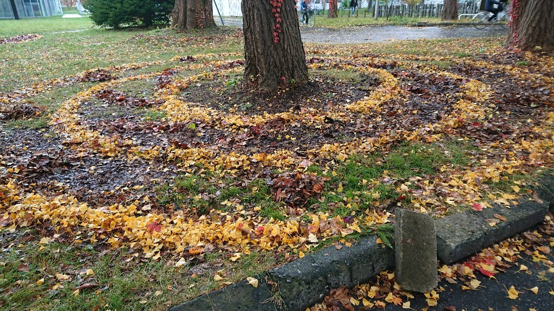 c0328559_20543732.jpg