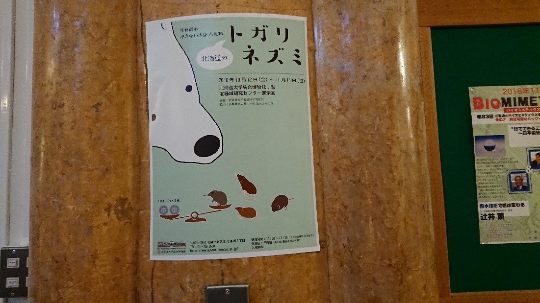 c0328559_20593690.jpg