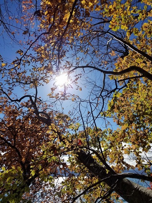 c0351262_20242437.jpg